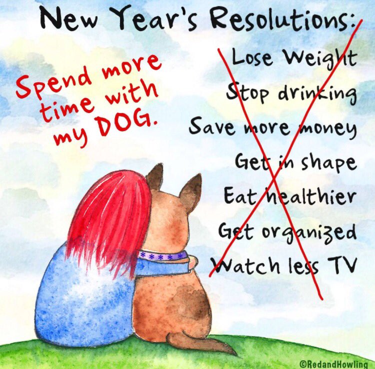 threedogindy's tweet image. We&apos;re OPEN until 6PM today! 🐾💜 #bringyourpup #bestresolution #spendtimewithyourdog #newyears2017 #threedogindy