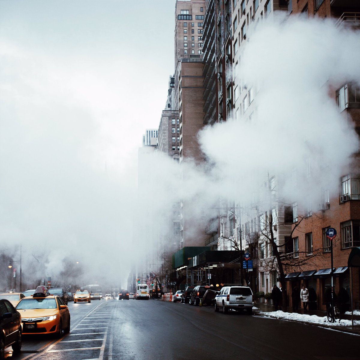 lagarpic's tweet image. New York 🇺🇸