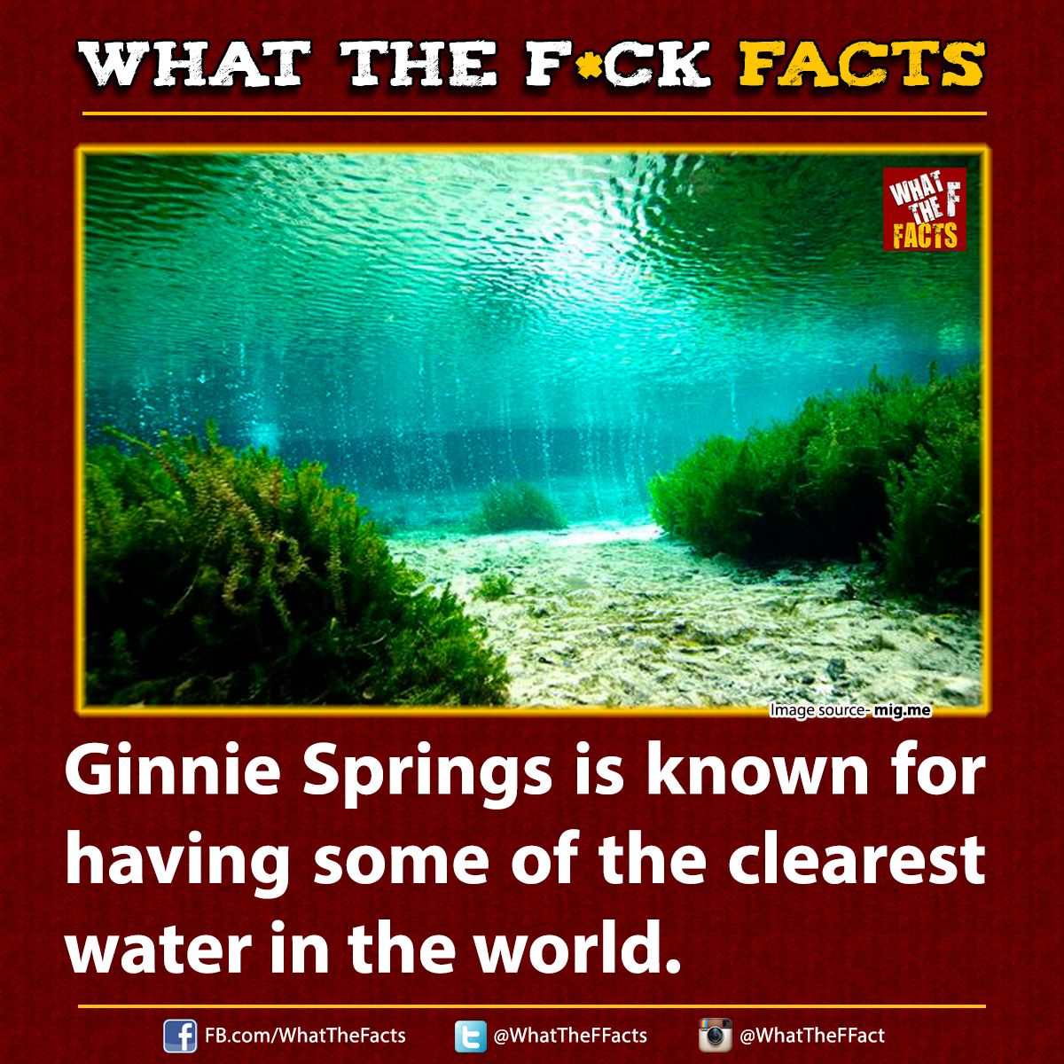 WhatTheFFacts's tweet image. 