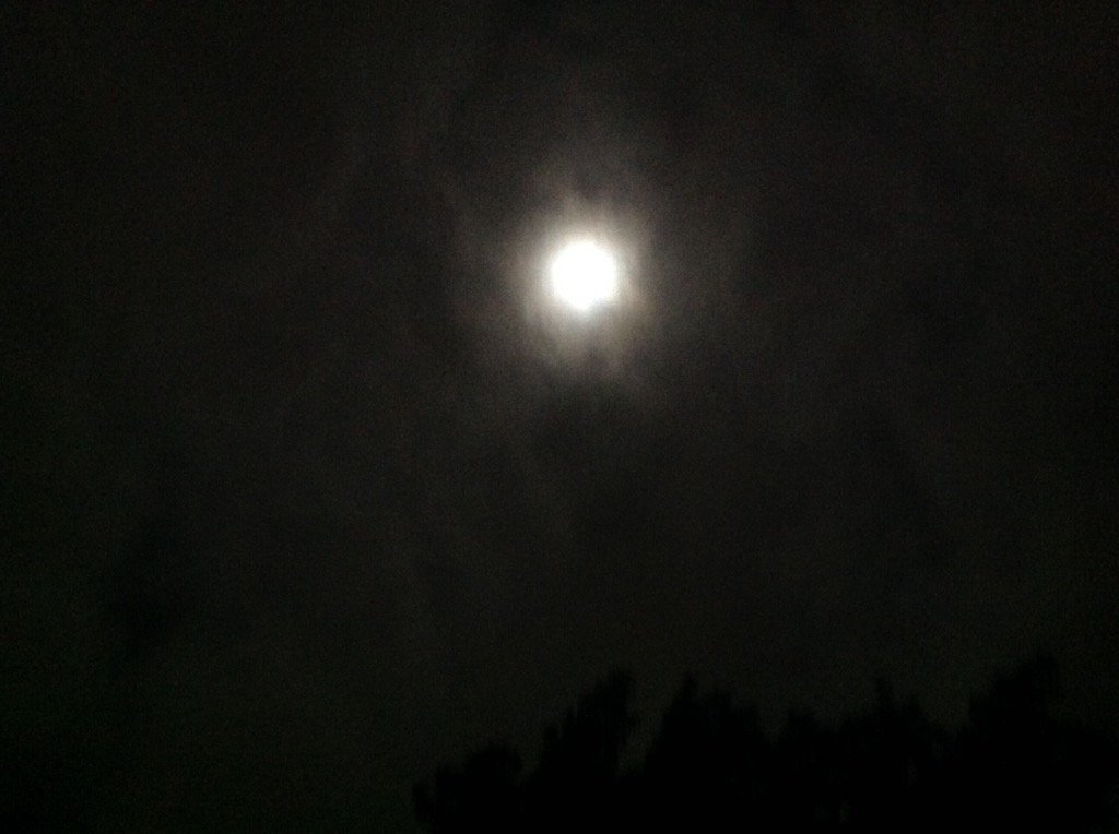 RosedeMalmaison's tweet photo. My sister always wanted me to take puctures of the super moon. Here is the 8ne from a week or two ago. https://t.co/g9nAyG1zzC