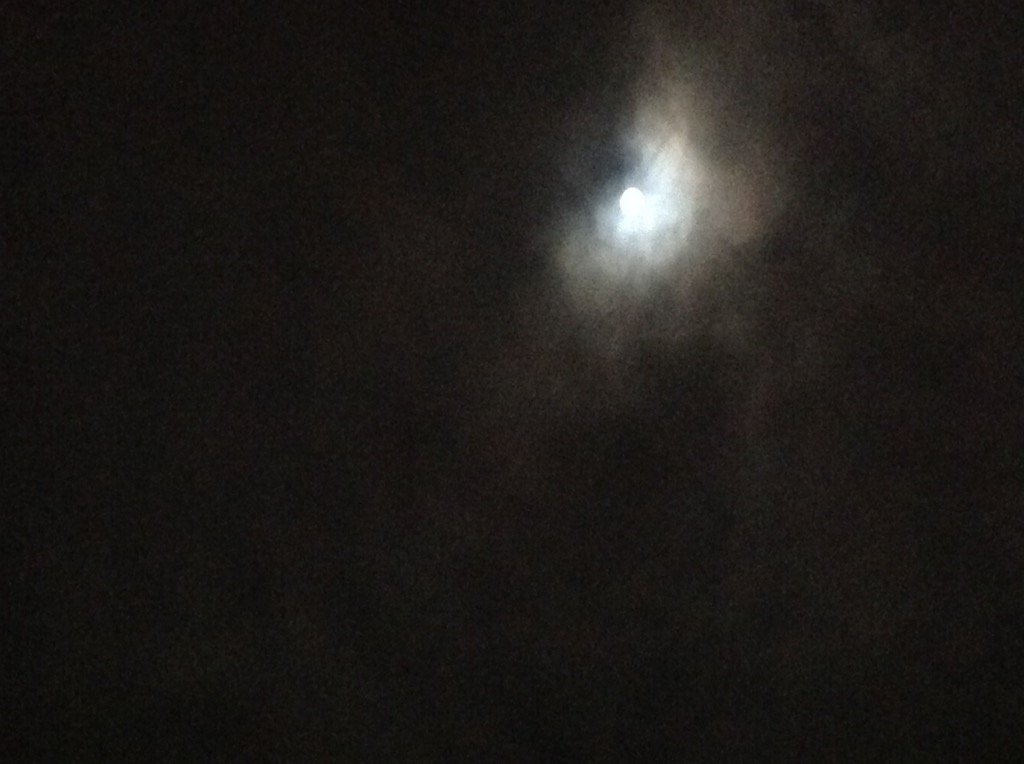 RosedeMalmaison's tweet photo. My sister always wanted me to take puctures of the super moon. Here is the 8ne from a week or two ago. https://t.co/g9nAyG1zzC