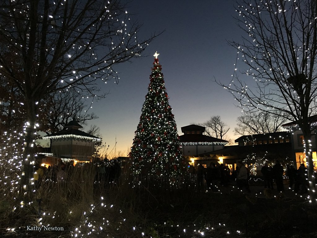 Cincinnati Zoo On Twitter Tonight Is The Final Night Of Pncfestivaloflights Save Money Time Purchase Tickets Online Https T Co J8bv5sckv7 Https T Co Xedmtbok1b