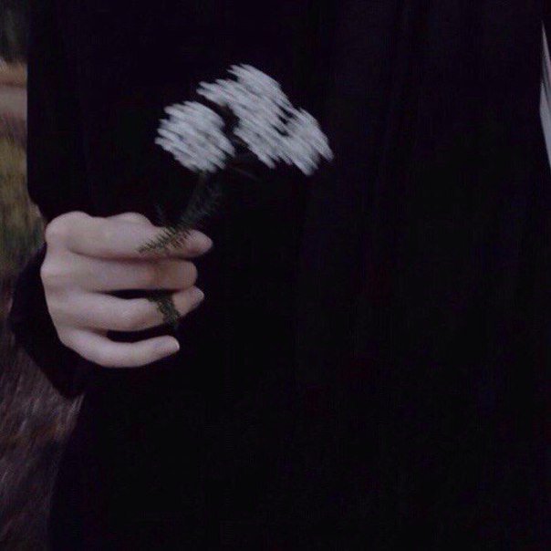 nastya_viter's tweet photo. #RIZUPS - Обійми її
*-* https://t.co/7qixtJuqvX