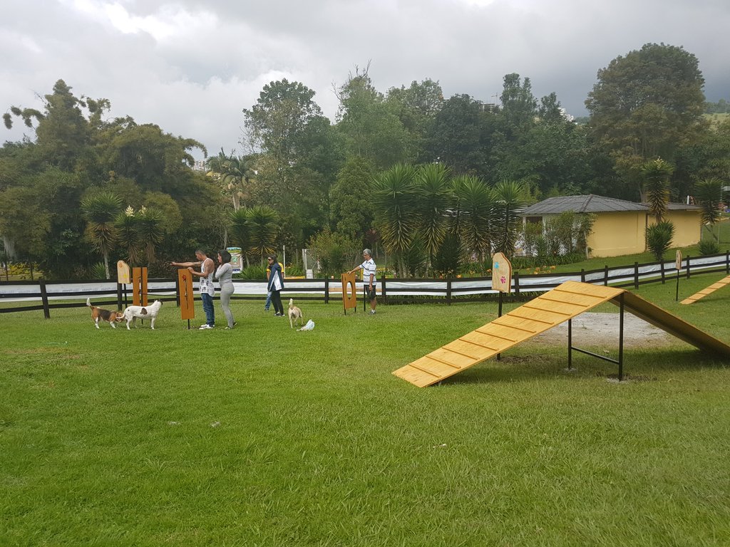 Alcaldía de Manizales tweet media