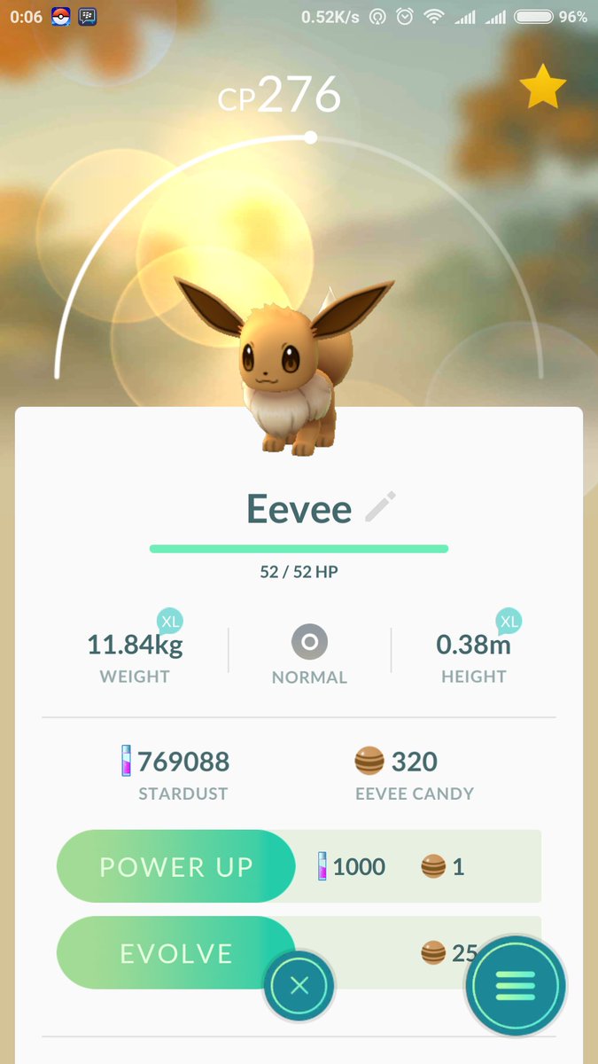 AdiHrt15's tweet photo. @trnrtips catching n hatching 100% IV eevee and voltorb on 1st jan 2017 :D https://t.co/UbuIcrJbWw