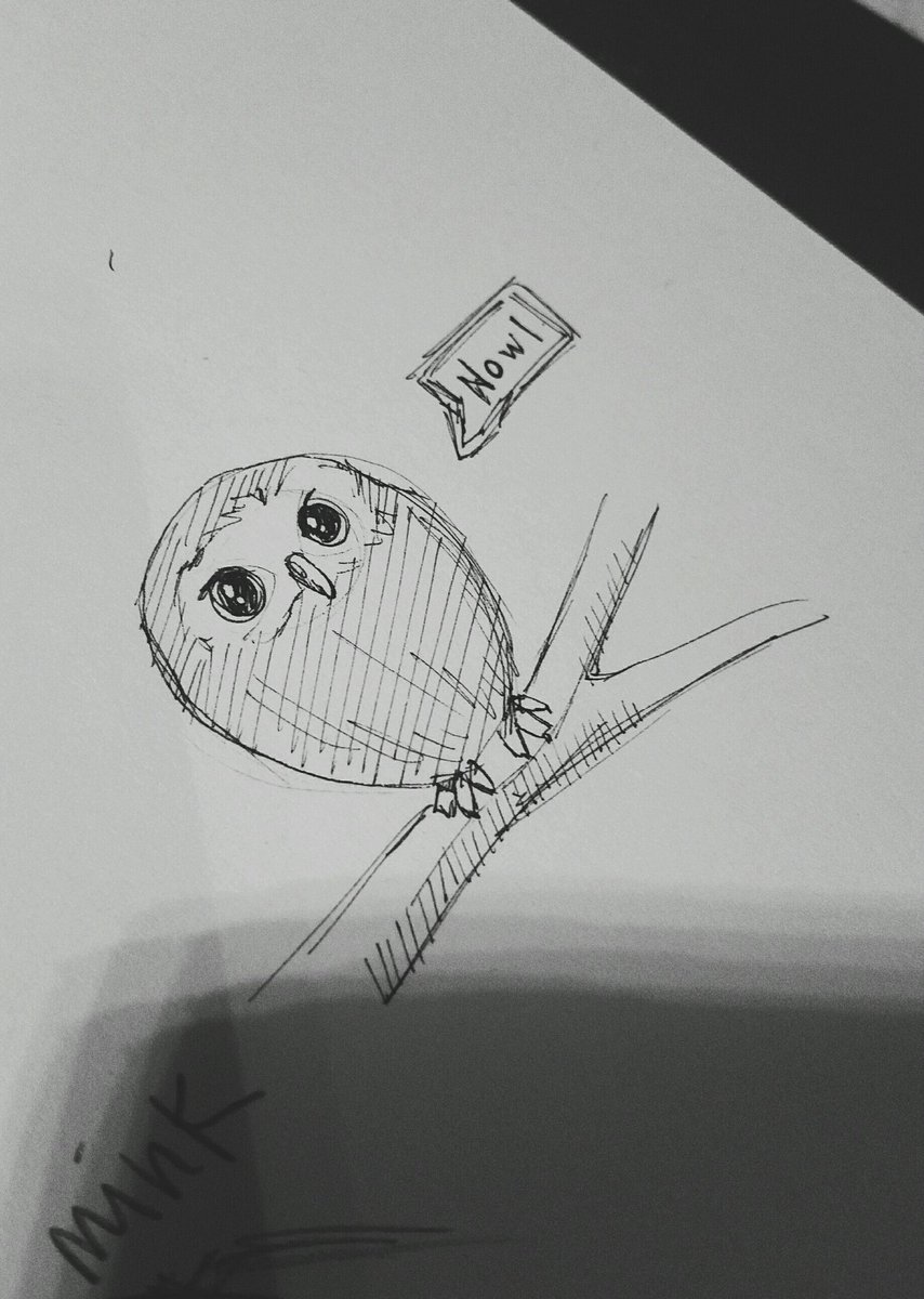 mermermoru's tweet photo. #NoOwl https://t.co/kYhXuQWePS