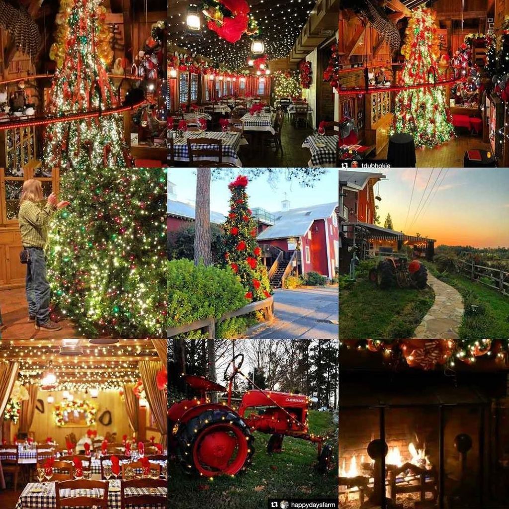 AngusBarn's tweet photo. Happy 2017! Thx for following us in 2016, and making these pictures your favorites! #BestN… https://t.co/3MDQJNjfVQ https://t.co/xtcicBm2ml