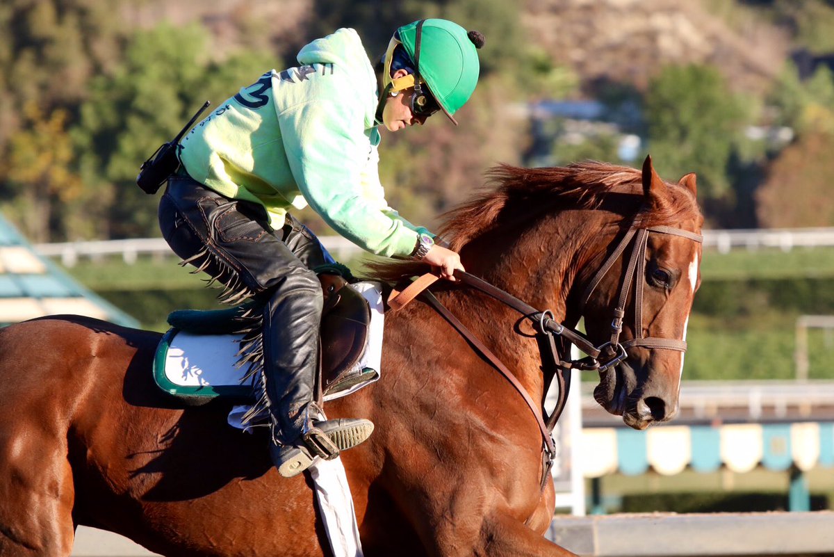 SMcCarthyRacing's tweet photo. We have blue skies today at @santaanitapark, and Righteous Dixie looks to break her maiden in the 1st! 🍀 https://t.co/9eC9g9i6rO