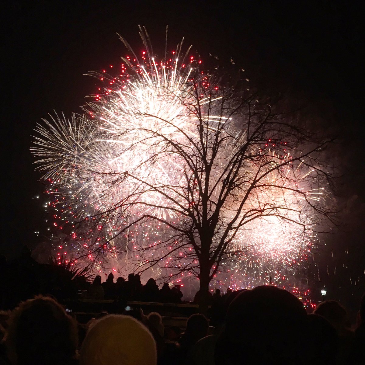 browsemag's tweet image. #Hull2017 Opening Ceremony. WOW! The Worlds biggest secret is out...