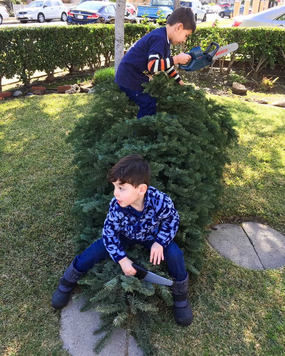 MarcoOnTheWeb's tweet image. Tree is out ...along w/ the "power" tools. Happy New Year! #firstdayoftheyear #brothers #nonstop #havingfun #hello2017 @BoschToolsNA #cheers