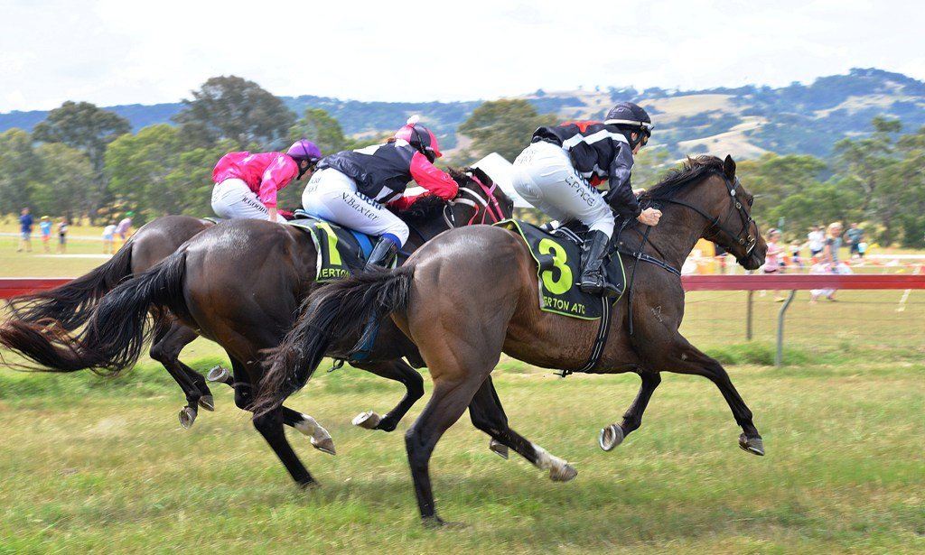 picnicracing's tweet photo. Taqneen trained by Mick Bell and ridden by @courtpace1 wins at MERTON. https://t.co/EMcAM6PHcB