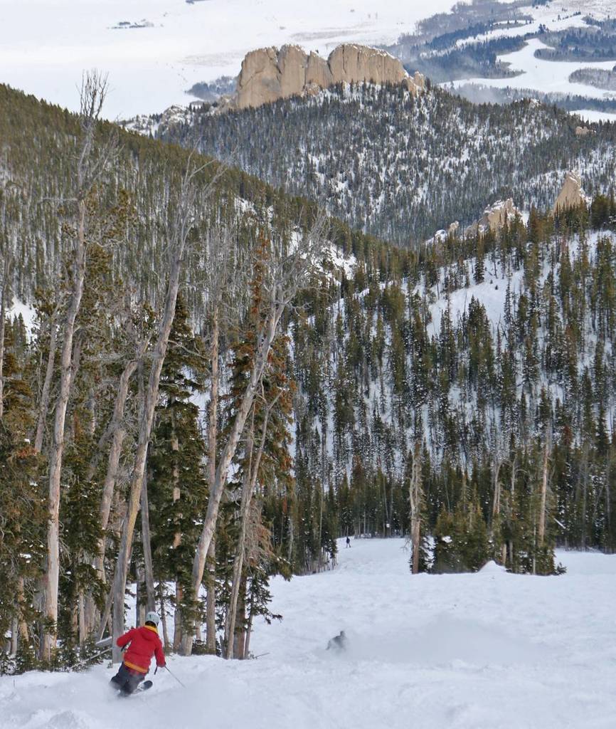 RedLodgeMntn's tweet photo. Starting off 2017 with some turns in Cole Creek. She's a beaut. #myredlodge #skiing #redlo… https://t.co/dsZJkKYhmA https://t.co/BP2WfuxspW