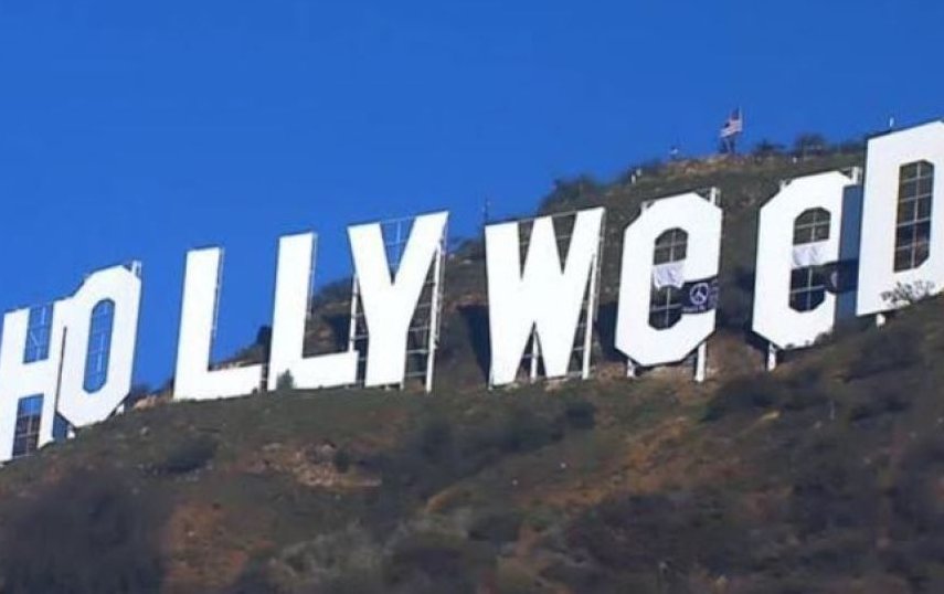 PublimetroChile's tweet photo. "Hollyweed": Modifican clásico letrero para que aluda a la marihuana https://t.co/Pks8rrw2Ju https://t.co/BsDNRdUC9R