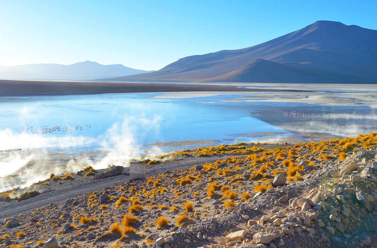 livredevoyages's tweet photo. Les paysages à couper le souffle de la réserve Edouardo Avaroa ! #Bolivie #nature #voyage #Avaroa #uyuni #travel https://t.co/lD1Ss60PF0
