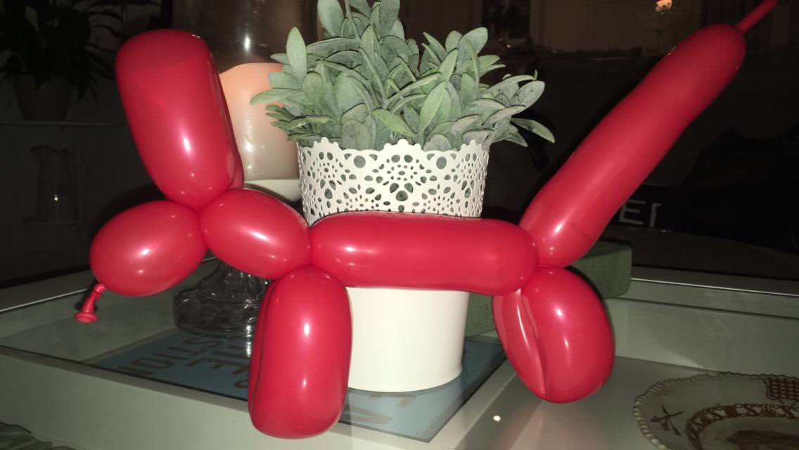 TessaCouture07's tweet photo. My evening. haha
#BalloonMaking #Balloons https://t.co/5DVZBVGRH9