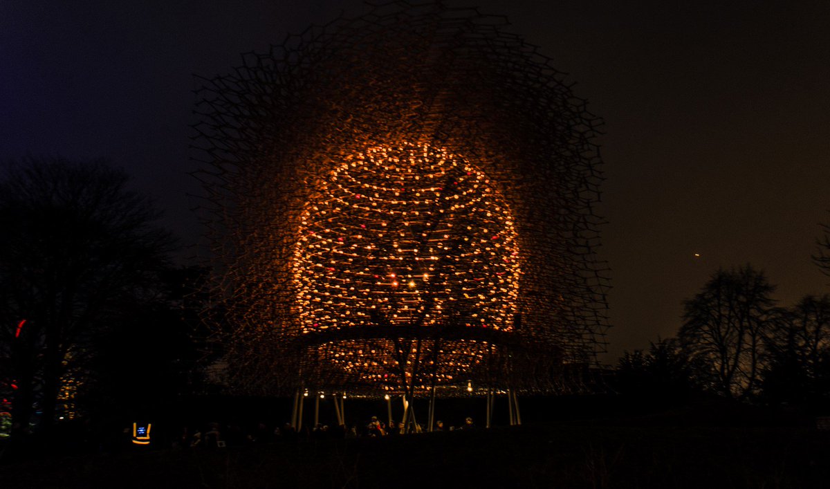 Thelondonbee's tweet photo. The Hive in Kew Gardens at night #Kew #Kewgarden #Bee #Honeybee #London #Honey #Mead #thelondonbee #honey https://t.co/Qf2VGf79ap
