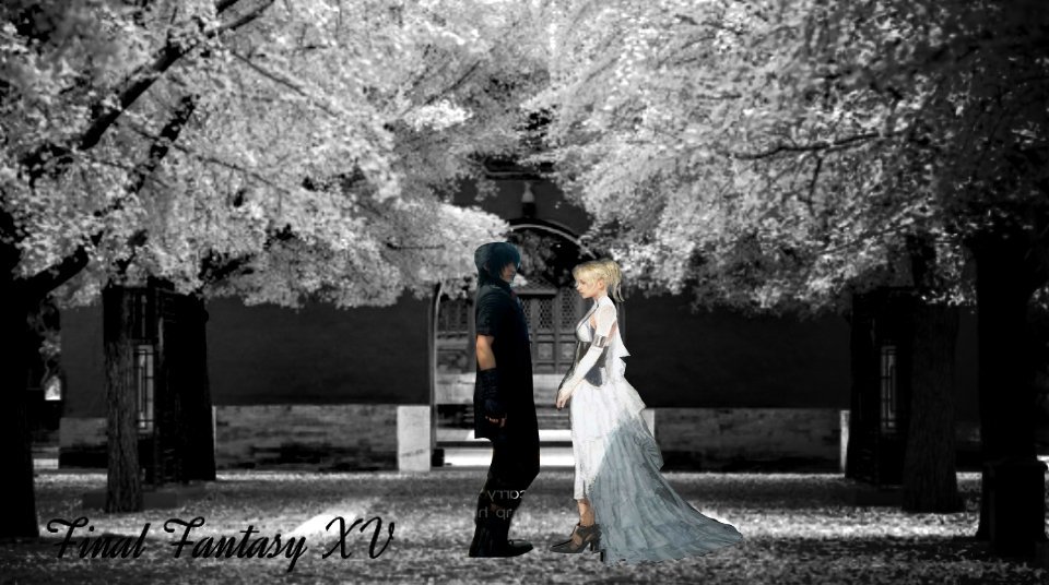 leejoon342540's tweet photo. Wallpaper Final Fantasy XV self-made 😂
#FFXV 
#finalfantasyxv 
#Noctisluciscaelum 
#noctic 
#lunafreya https://t.co/UDMQbuLqAz
