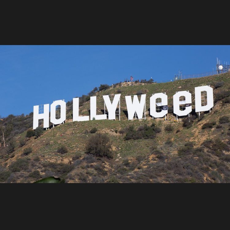 asiarayfreak's tweet photo. Improvement. #2017 #hollyweed https://t.co/Wwqc1OiQRM