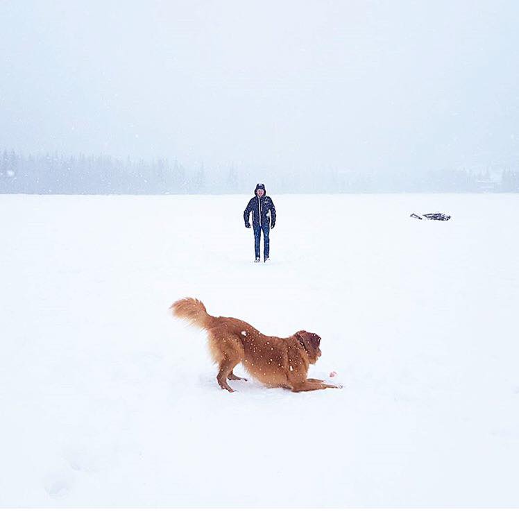 Happy New Year from the Origin team! Hope everyone is getting the most out of their day by playing outside!