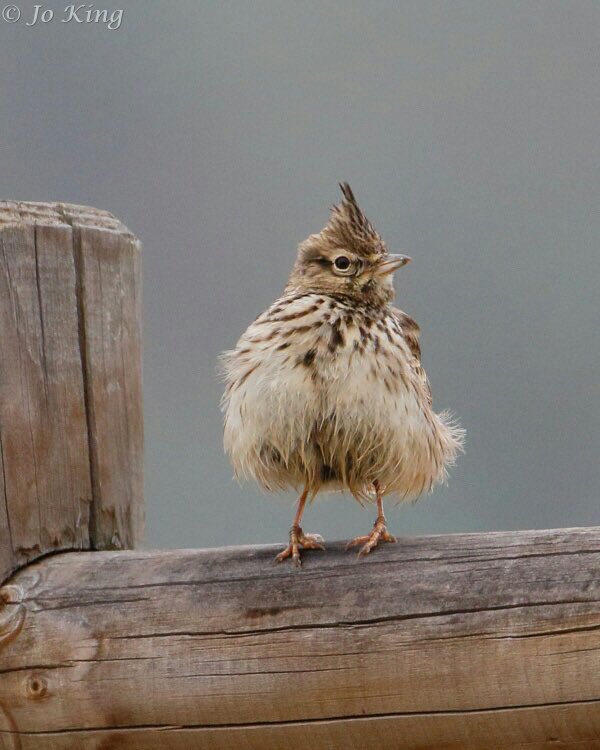 "Ok, stop Larking about &amp; put the sun back on now - I need to dry my knickers"