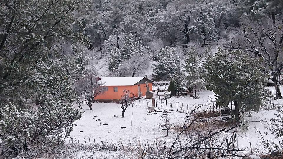Disfrutan familias nevada en cananea sonora, así como sus paisajes