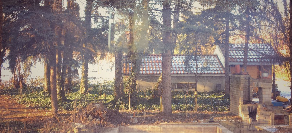 mokugomi's tweet photo. Secret Garden #Poland #Przemyśl #hometown #childhood #Polska #podkarpacie. #ogród #domrodzinny https://t.co/sdlw0IMx7W