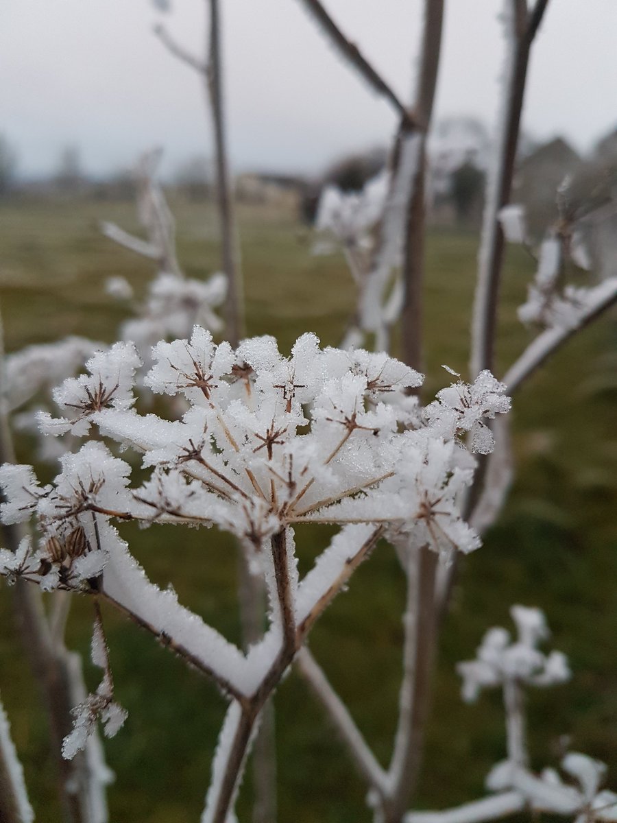 karl50580's tweet photo. L'hiver arrive à grands pas 😊. https://t.co/SJRhUV6juS