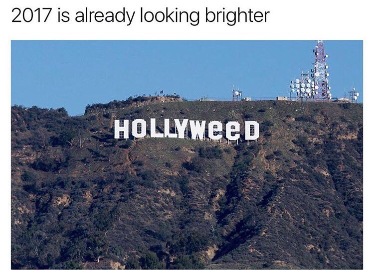 ImShmacked's tweet photo. Starting 2017 the right way💪🏼 https://t.co/MuaXGlb6nY