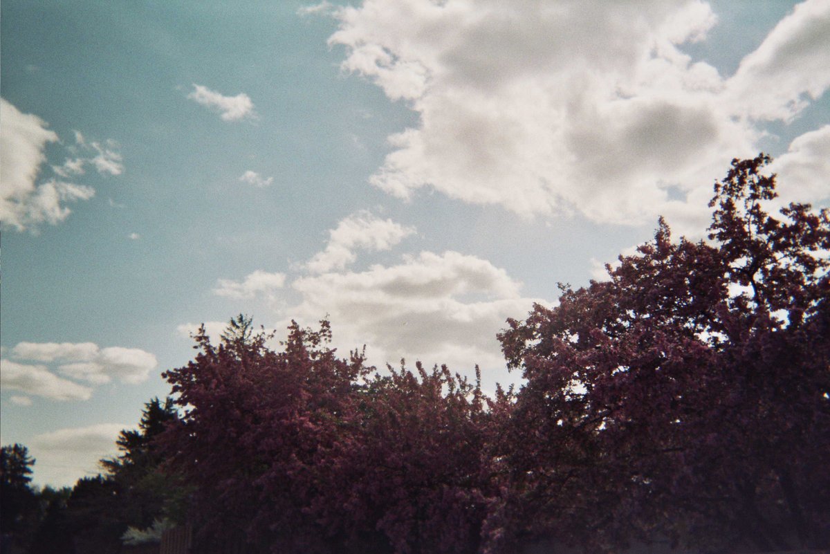 stereogum's tweet photo. Hear "The Light," a lovely new solo track by Maryn Jones of @alldogsband / @yowleryowler / @saintseneca https://t.co/5U1GLa1t7W https://t.co/blgy4MkDWY