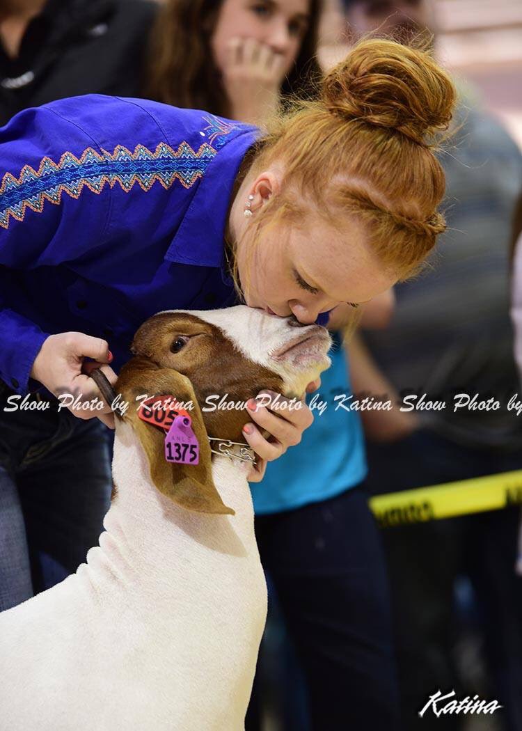 Johnna_Leigh_'s tweet photo. leaving Charlie was such a hard way to start 2017😭💔 I love you baby💗 #mychampion#supremegoat#ANLS https://t.co/5CXZjtupzo