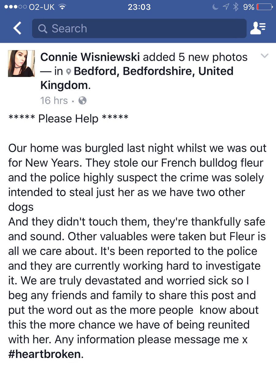 JodieMarsh's tweet photo. Please can everyone share this &amp; make the dog too hot to handle. Thieves are SCUM. I pray this little dog gets returned safely 💔 https://t.co/rFIw3r3WeS