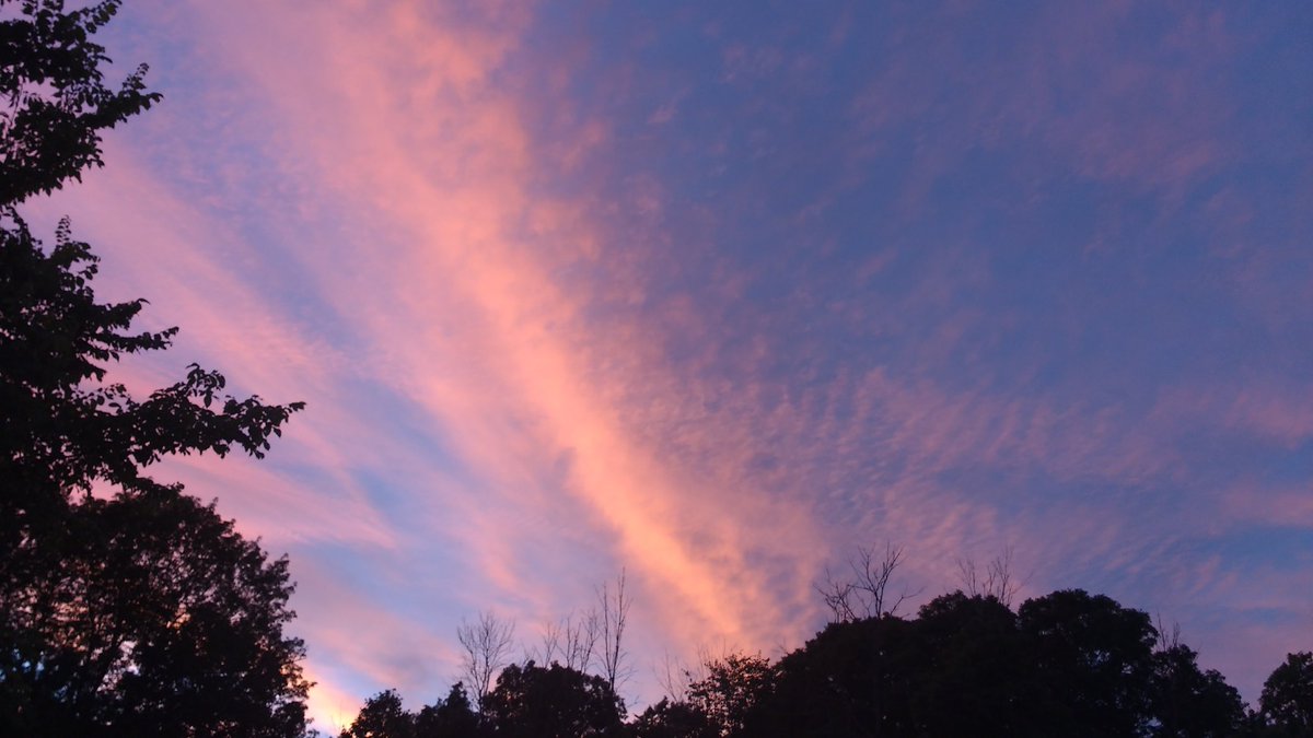 extravibes's tweet image. 