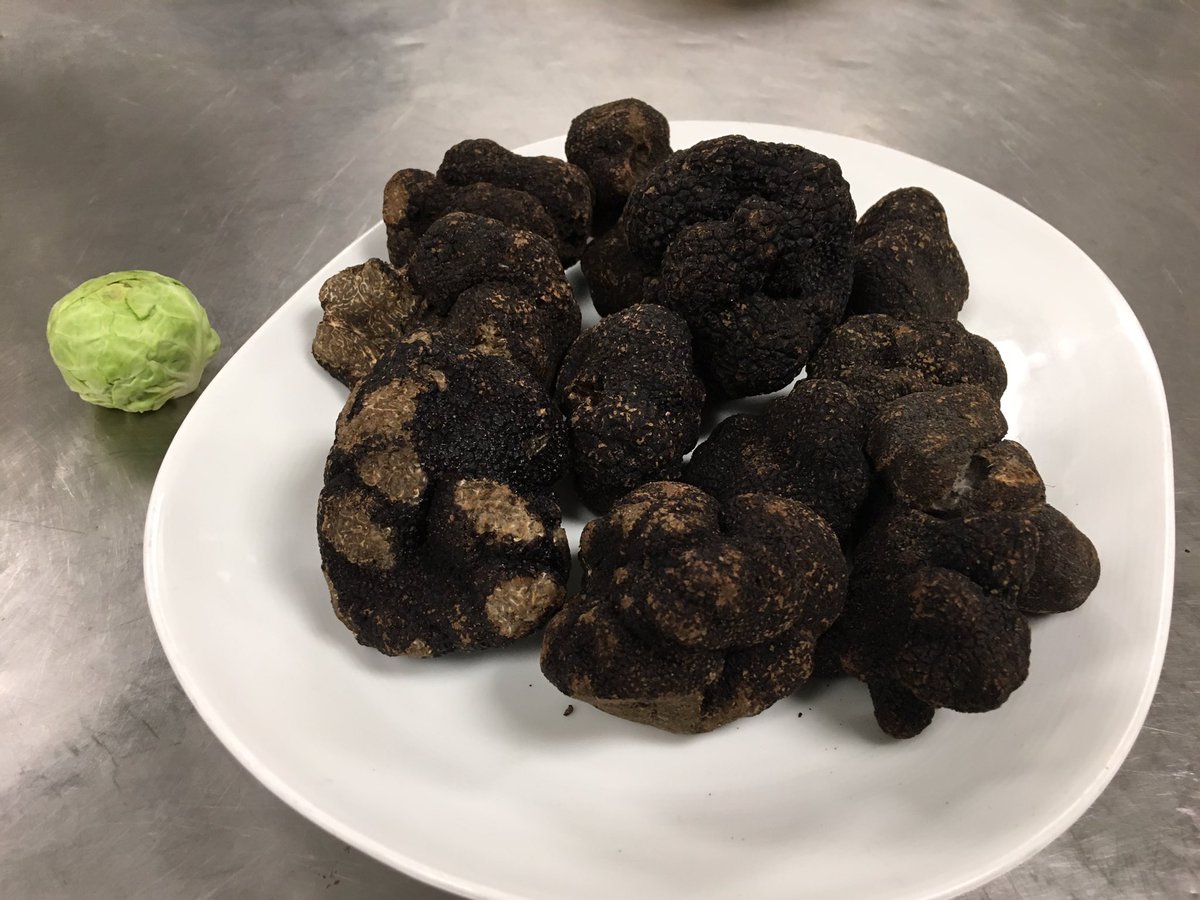 Chef Will Nolan tweet media