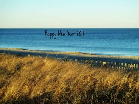 whatEYEview's tweet photo. #firstpic2017 #dailyphoto #DuxburyBeach @DXFD_PIO #RetweeetPlease #January2017 #Januarychallenge https://t.co/H51gVi155c