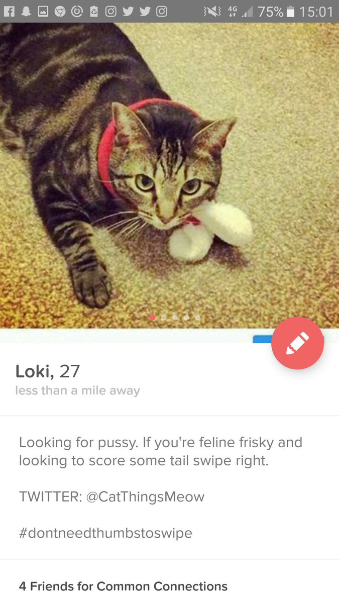 Joined #tinder finally getting my claws into the dating game. #meow #cats