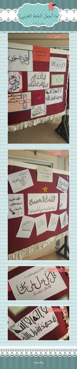 🍃انفتاح القلب والروح على الجمال بخطوطٍ عربية أنيقة🍃