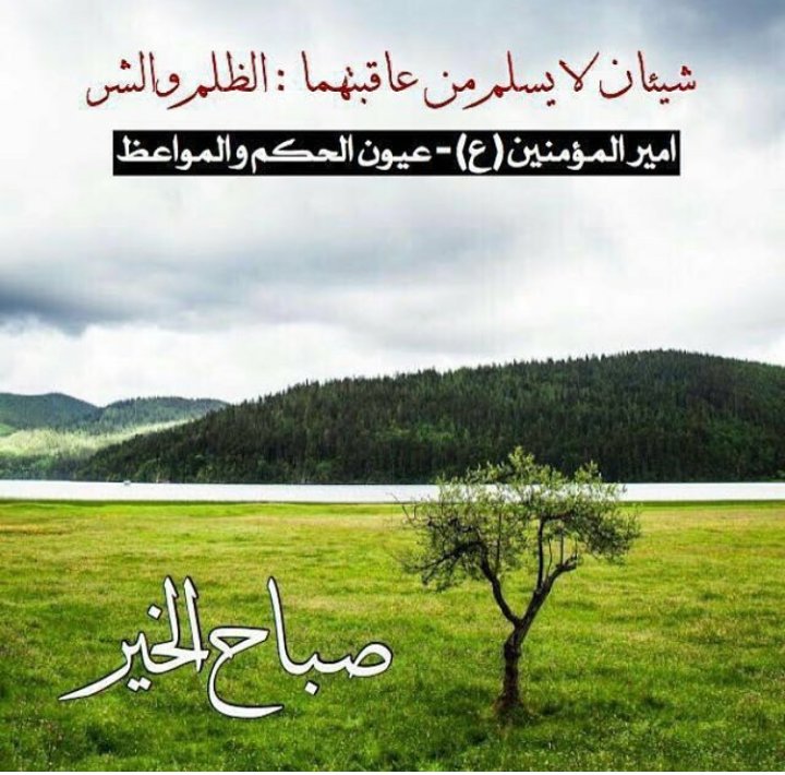 @mahdi@ (@mahdi5061) on Twitter photo 