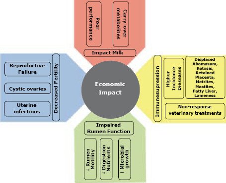 break the code cryptography for