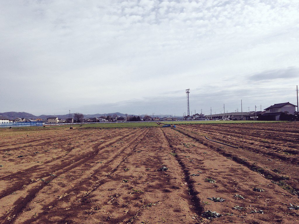 d15a27's tweet photo. 散歩。畑ビュー https://t.co/OnshlkShvE