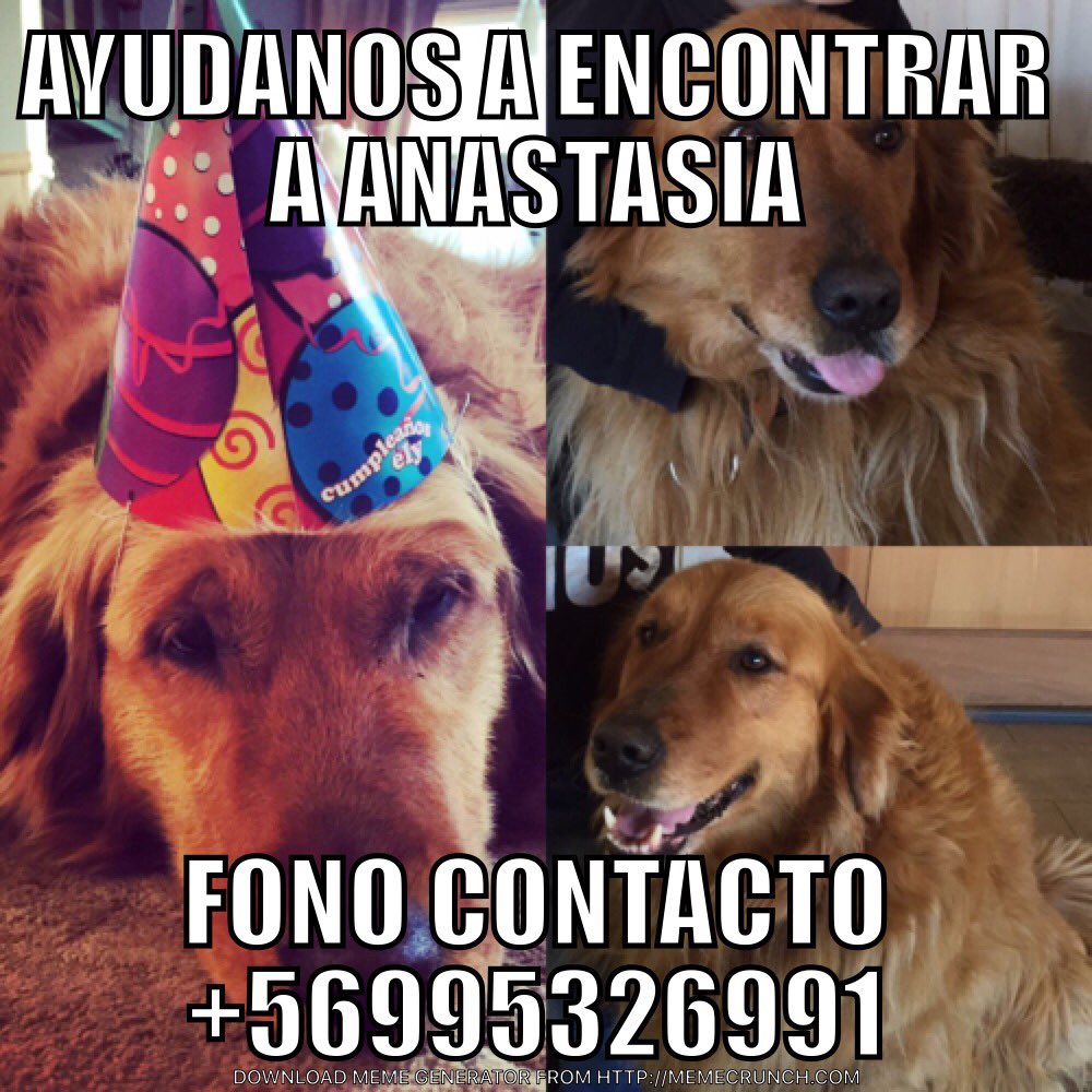 Alejandro Bernales 🇨🇱 tweet media