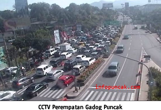 infopuncakcom's tweet photo. 08:40 situasi lalin puncak arah gadog lancar, sebaliknya ditutup karna masih one way puncak ke arah gadog https://t.co/d3uS6a1dnG