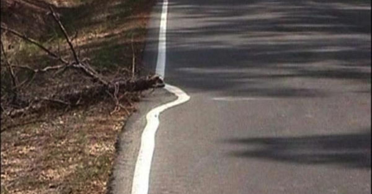bethany_crawfor's tweet photo. The 30 laziest people in the world. No. 29 made me roar with laughter.➙ https://t.co/oSPoEatmoZ https://t.co/jrsvVOdtqk