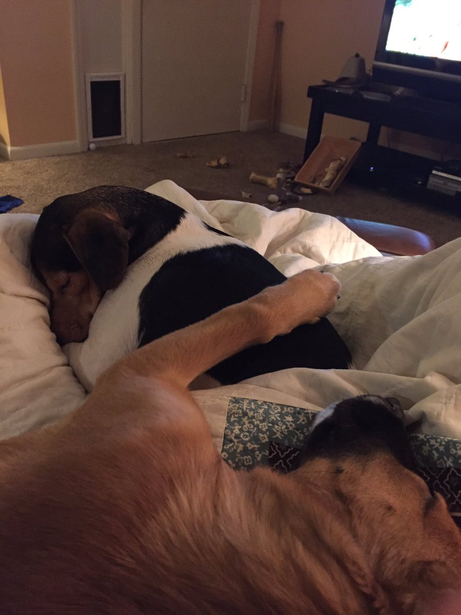 jeangennie1's tweet image. #firstdayof2017