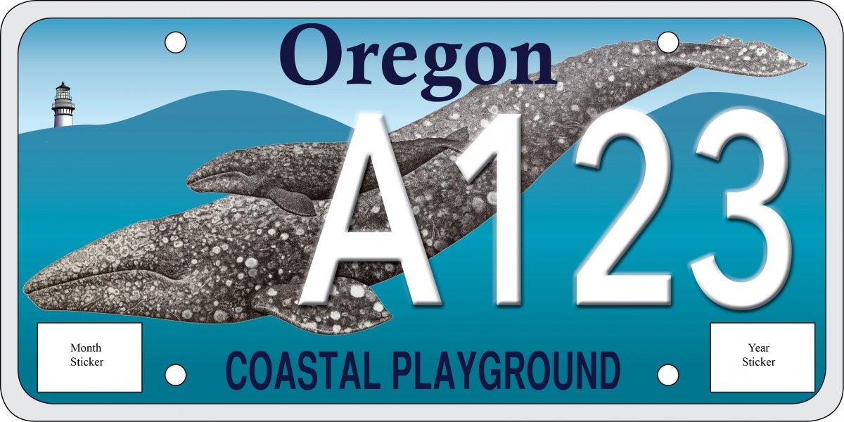 Happy New Year! Consider getting a new license plate to support whale research at the Marine Mammal Institute! bit.ly/2iWMu22