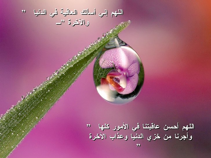 tayypeachy's tweet photo. من دعاء النبي صلَّى الله عليه وسلم
اللهمّ أحْسِنْ عَاقِبَتَنَا فِي الأُمُورِ كُلِّهَا، وَأجِرْنَا مِنْ خِزْيِ الدُّنْيَا وَعَذَابِ الآخِرَةِ https://t.co/OXcI3Ybal8
