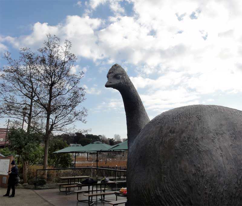 東京ズーネット 公式 エピオルニスはマダガスカル固有の鳥類 絶滅時期はよくわかっていません 系統についても諸説あり しかし先月 エピオルニスの骨からdna解析をおこなった結果が発表されました この研究は 秋篠宮文仁親王殿下が中心となられて