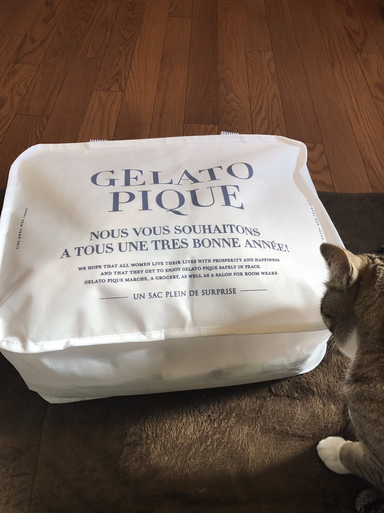 おはる ハムの人 ルミネ立川にてジェラピケ福袋ゲットしました٩ W و 昨年のように買い過ぎず 厳選したのでゲットできてより嬉しい これから親戚の家に行くぞー 3 ジェラピケ福袋 ジェラートピケ T Co Poif1iq7hp Twitter