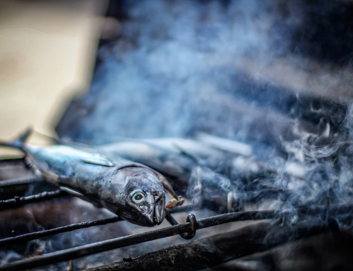 avinashpareek's tweet image. Sorry babe! I tried but it was too late ... #sacrificeforhumanity #feedingthehungry #pureandpious