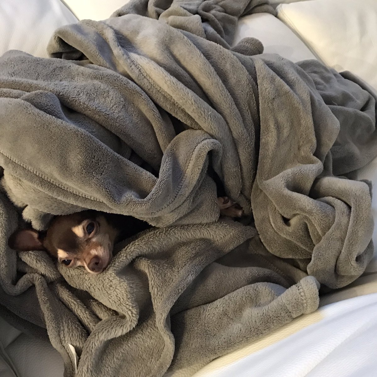 DashieXP's tweet image. She over here chillin a little too hard. Need to take her ass to school.