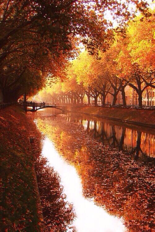 turki9992008's tweet photo. - ﺎلأماني كبيرة ..
و ﺎلسعادهہ طموح 💐 ..
وﺎلعوض عند ربي دام ربي كريم❤ ..
.
مـسـاء الـخـيـر🌹 .. https://t.co/FPRmYtG1Jr